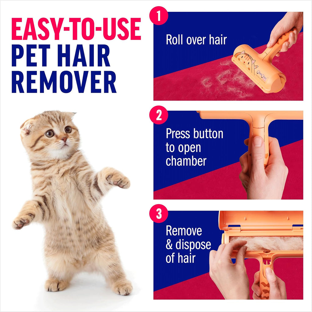Eco friendly pet hair remover cleaning a fabric couch surface