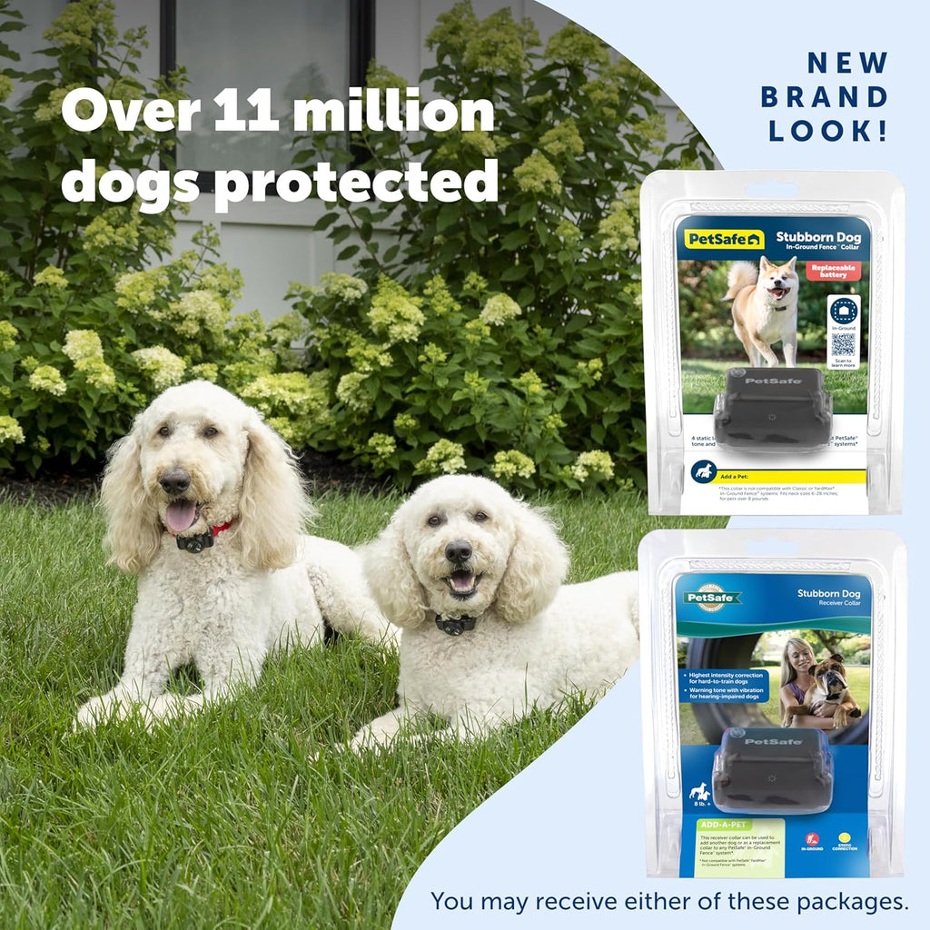 PetSafe pet fence replacement receiver collar featuring the quick access digital support QR code location.