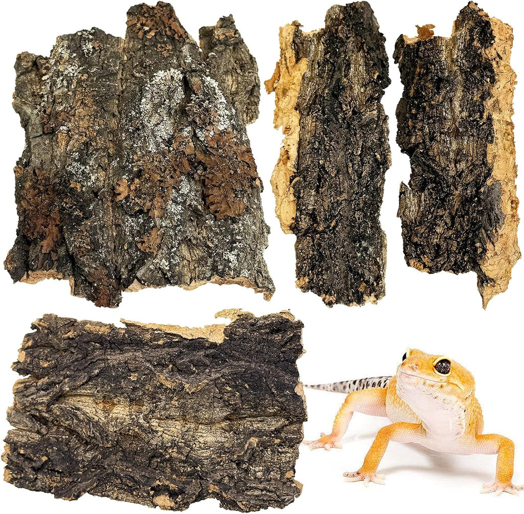 VCEPJH Natural Cork Bark Flats front view showcasing natural wood texture for terrariums.
