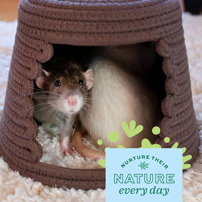 Small pet cage interior featuring Oxbow timothy hay habitat accessory