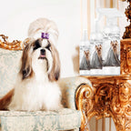 The Blissful Dog hypoallergenic grooming spray for sensitive skin