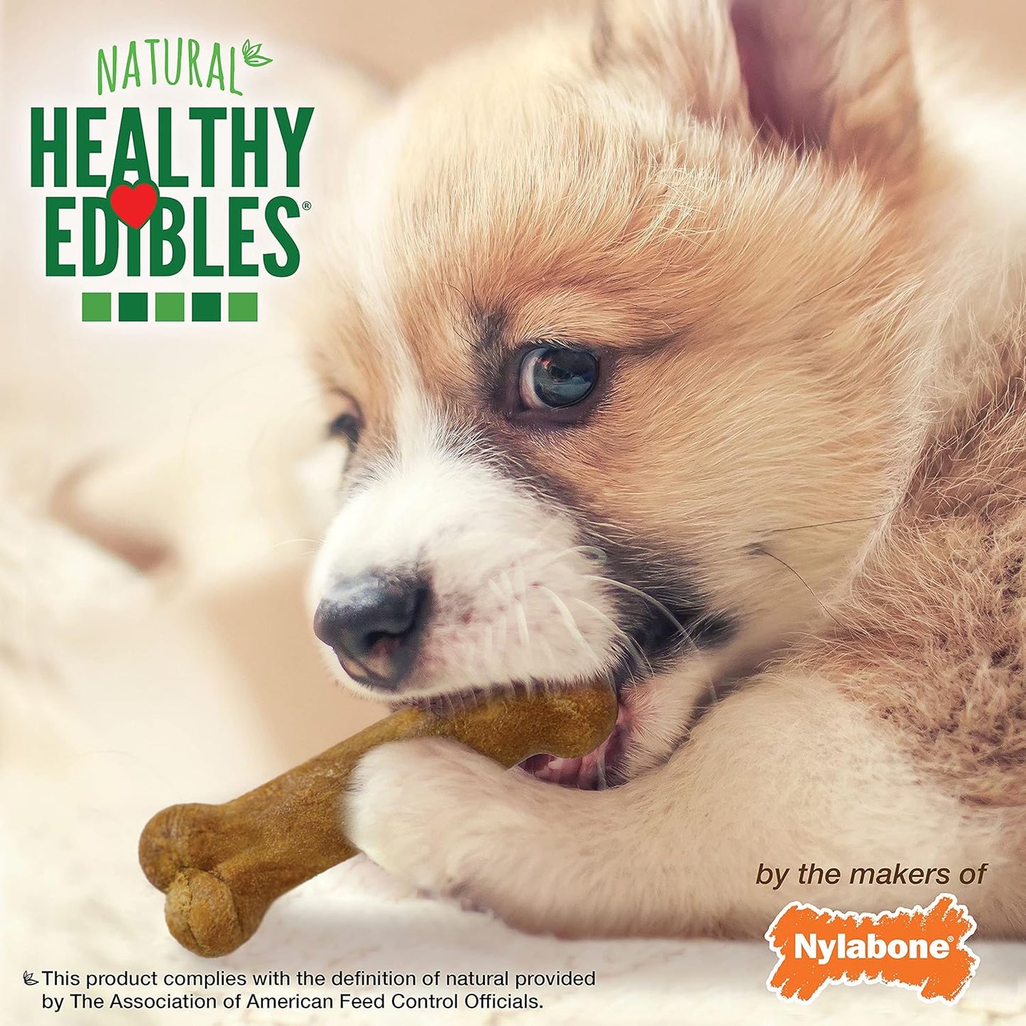 Nylabone Healthy Edibles Natural Puppy Chews Long Lasting Treats for Puppies, Roast Beef/Apple/Bacon Dog Treats, X-Small/Petite (3 Count) - Image 9