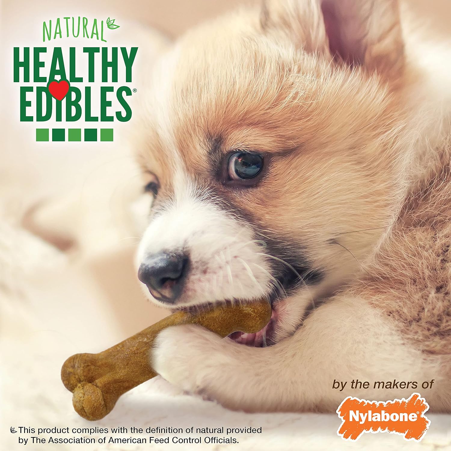 Nylabone Healthy Edibles Natural Puppy Chews Long Lasting Treats for Puppies, Roast Beef/Apple/Bacon Dog Treats, X-Small/Petite (3 Count) - Image 9