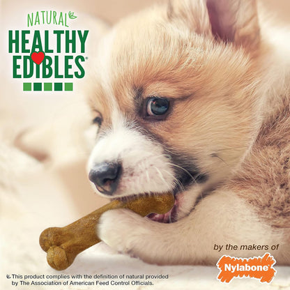 Nylabone Healthy Edibles Natural Puppy Chews Long Lasting Treats for Puppies, Roast Beef/Apple/Bacon Dog Treats, X-Small/Petite (3 Count) - Image 9