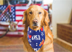 Side angle view of a pet wearing the imported Realeaf patriotic scarf highlighting the comfortable neck fit.