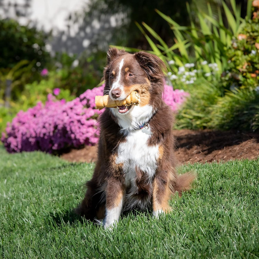 Authentic Wild Eats water buffalo cheek rolls for large dog breeds