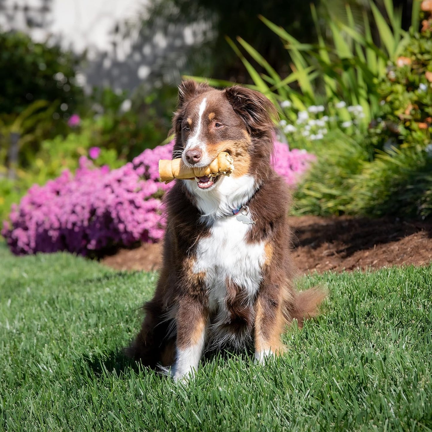 Authentic Wild Eats water buffalo cheek rolls for large dog breeds