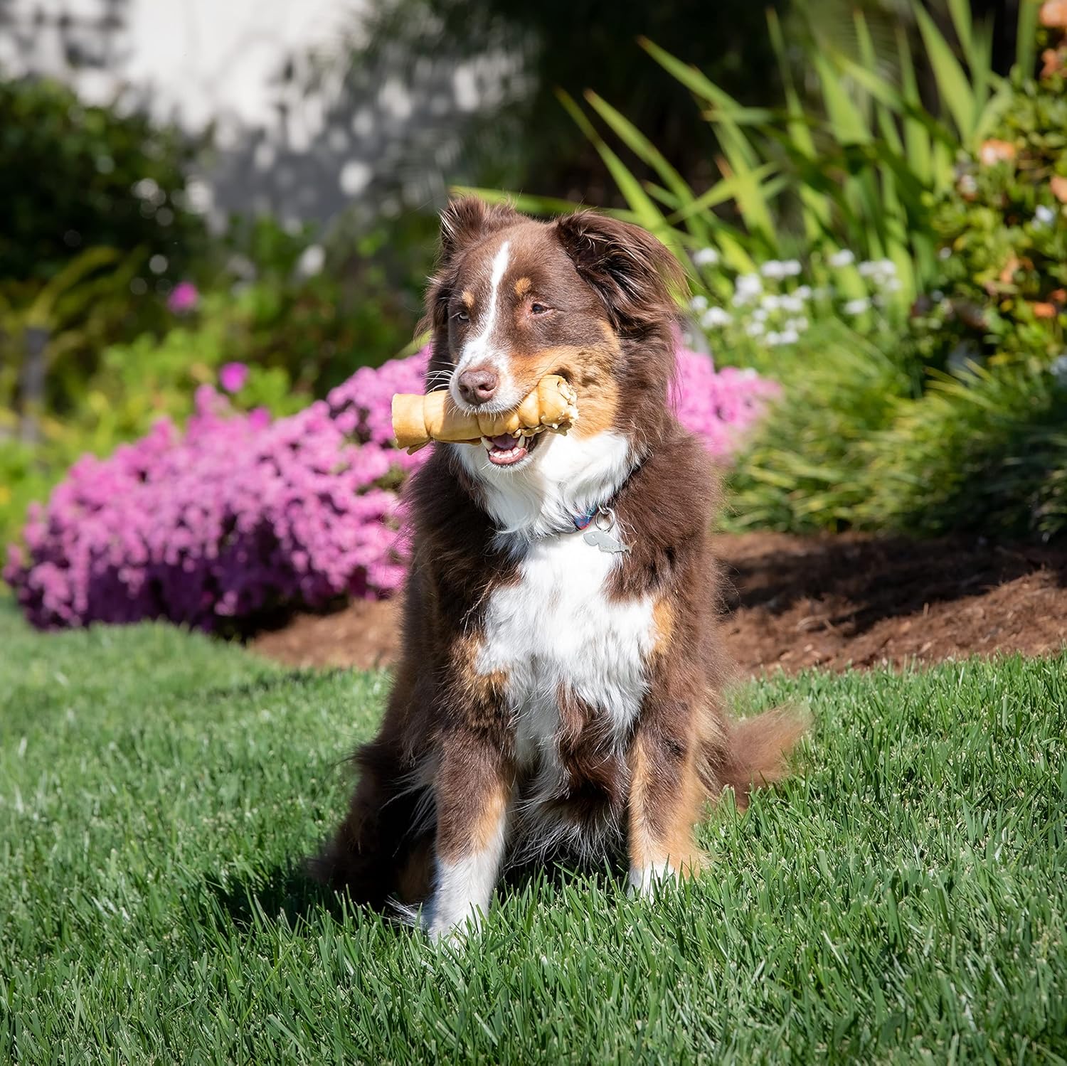 Authentic Wild Eats water buffalo cheek rolls for large dog breeds