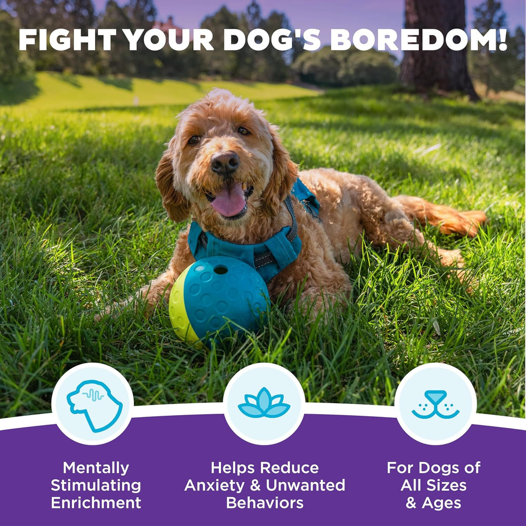 Level 1 beginner dog enrichment puzzle ball with kibble inside