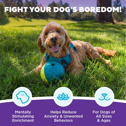 Level 1 beginner dog enrichment puzzle ball with kibble inside