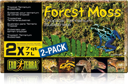 Exo Terra Forest Plume Moss 2-pack front view for terrariums