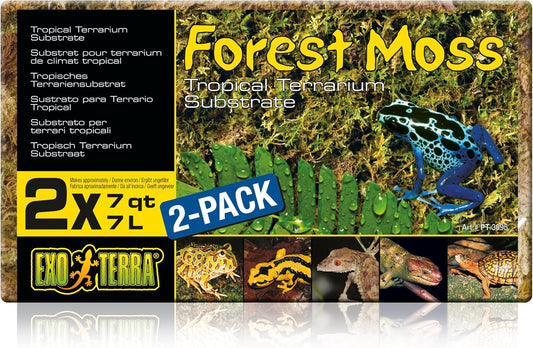 Exo Terra Forest Plume Moss 2-pack front view for terrariums