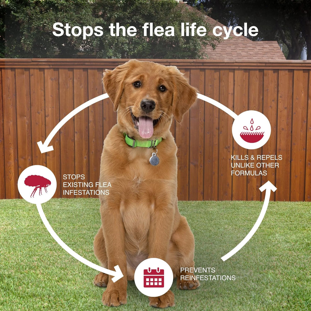 Veterinarian recommended flea and tick treatment for dogs back view instructions