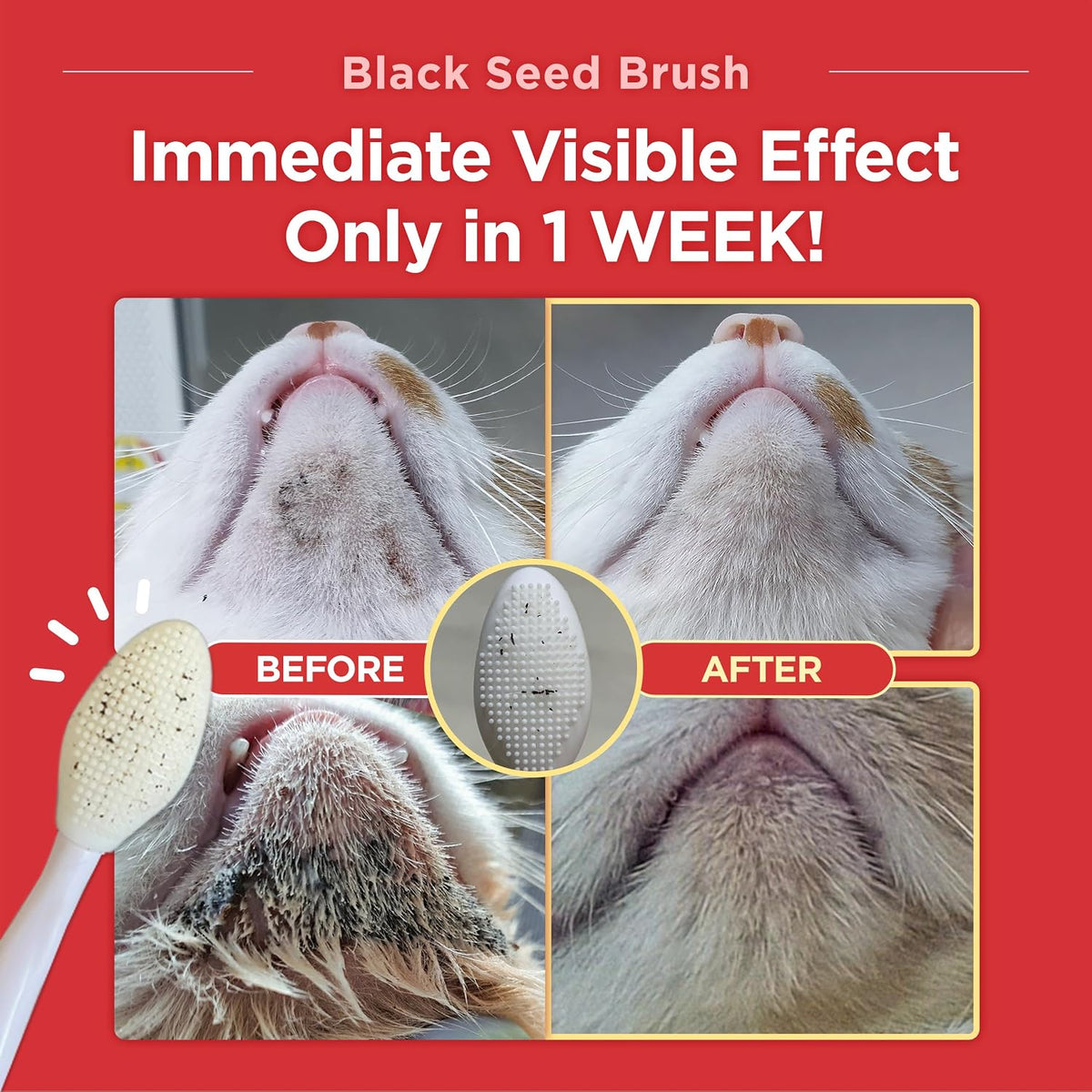 Close-up of the dense silicone bristles designed for feline chin acne exfoliation.