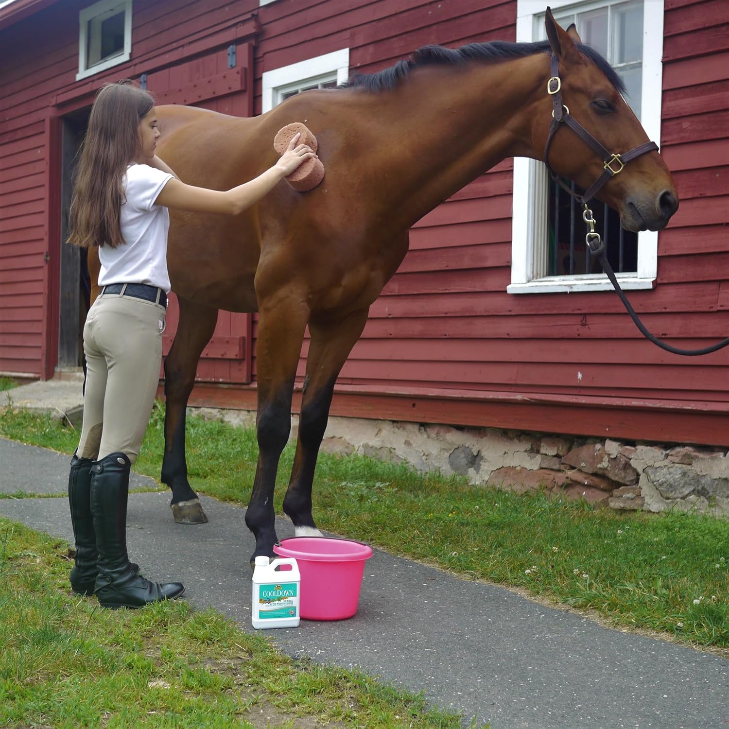 Absorbine CoolDown thirty two fluid ounces bottle imported equine care product.