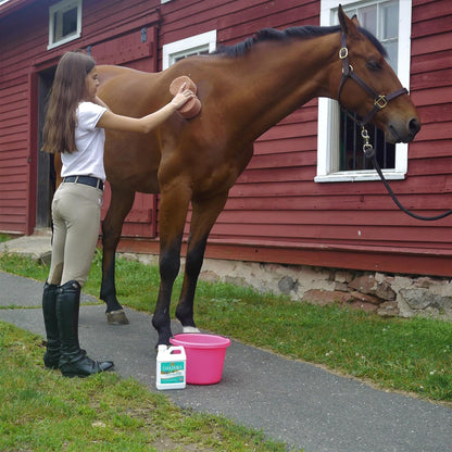 Absorbine CoolDown thirty two fluid ounces bottle imported equine care product.