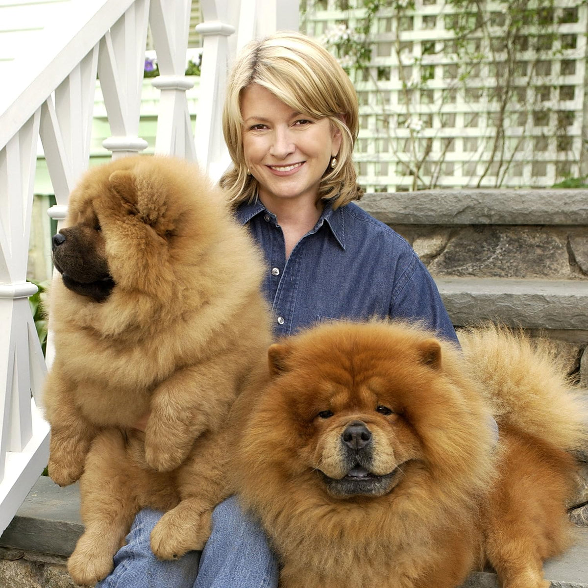 Martha Stewart oatmeal dog conditioner bottle next to dispensing cap