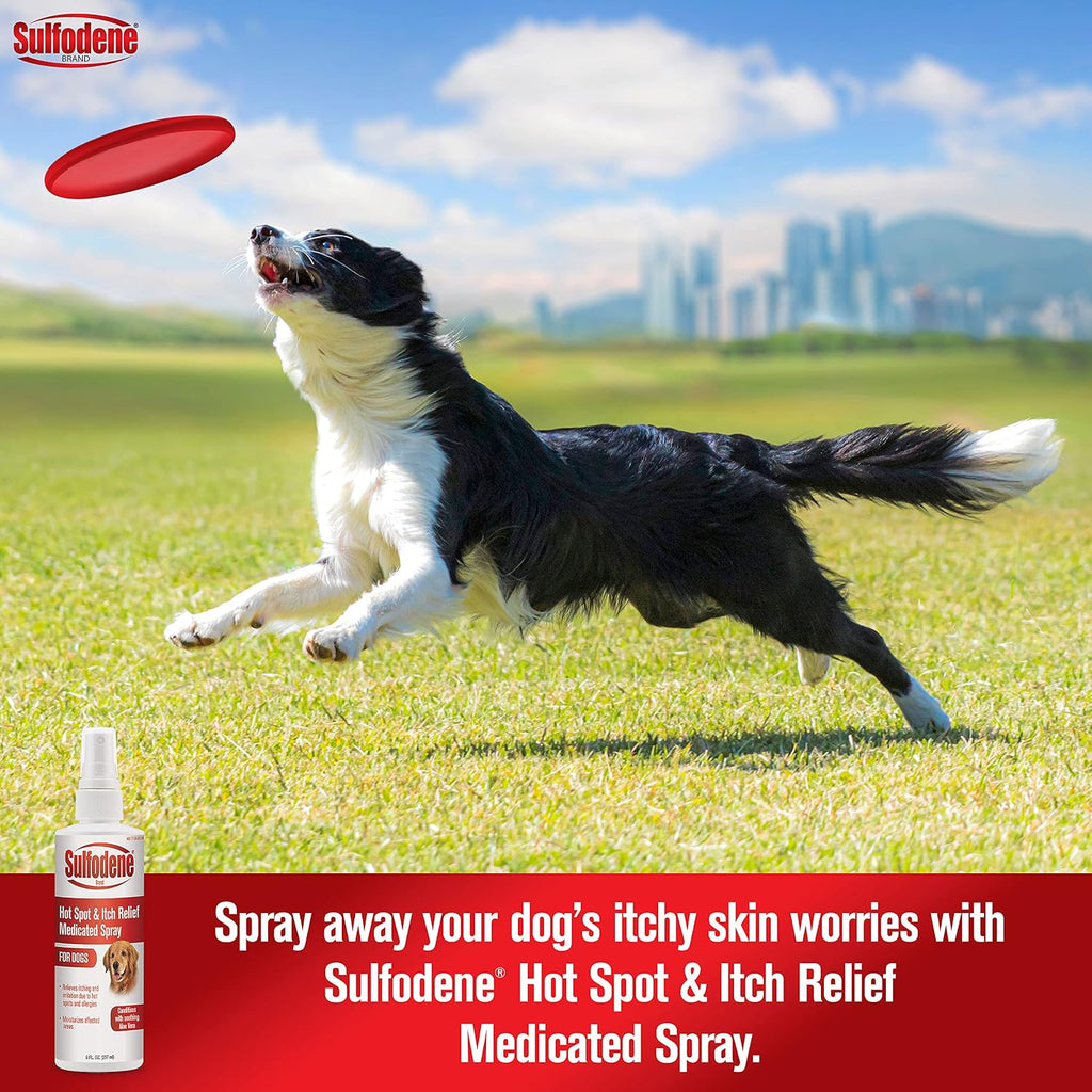Sulfodene canine skin allergy relief spray nozzle detail