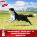 Sulfodene canine skin allergy relief spray nozzle detail