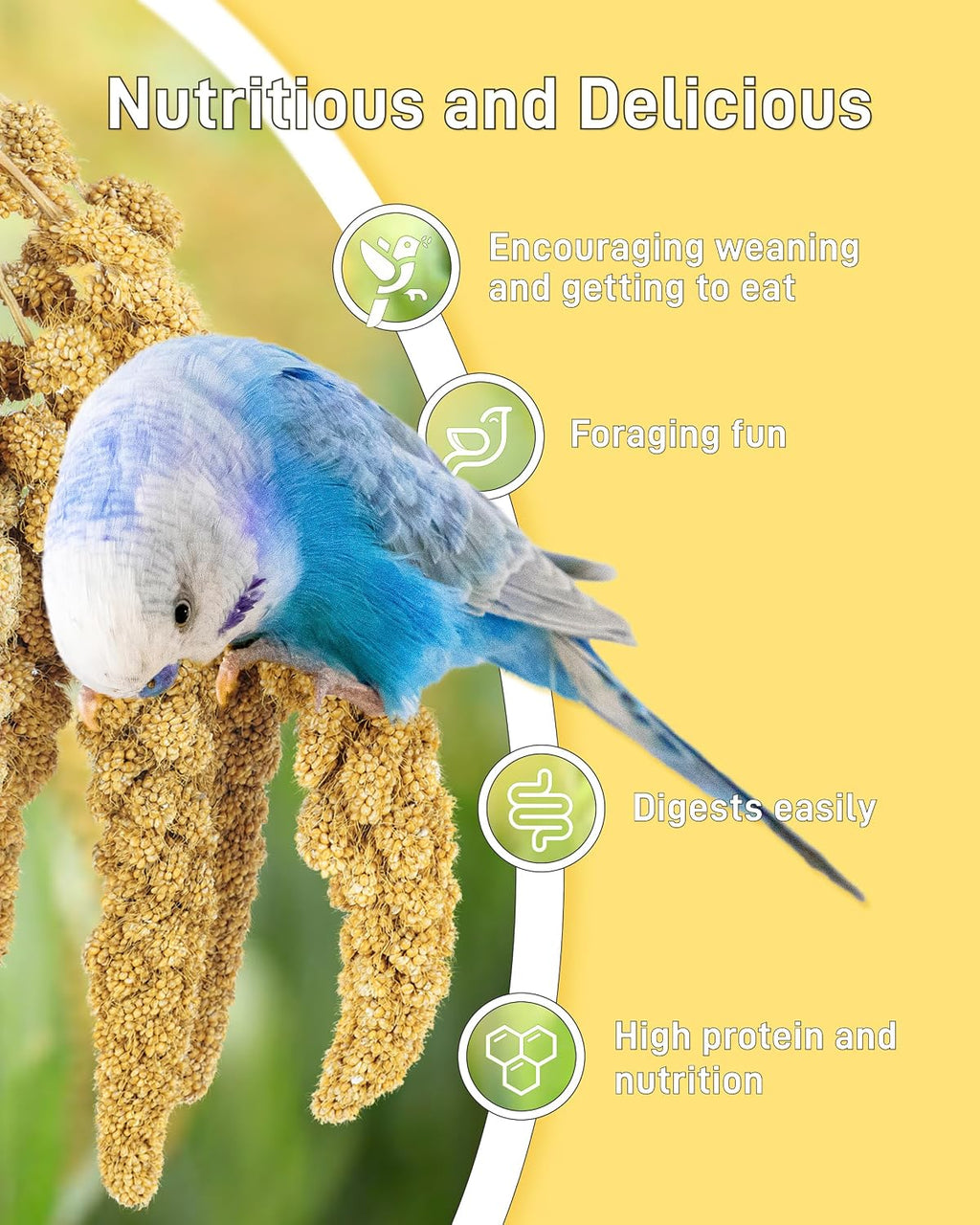 Natural sun-dried millet sprays in resealable bag