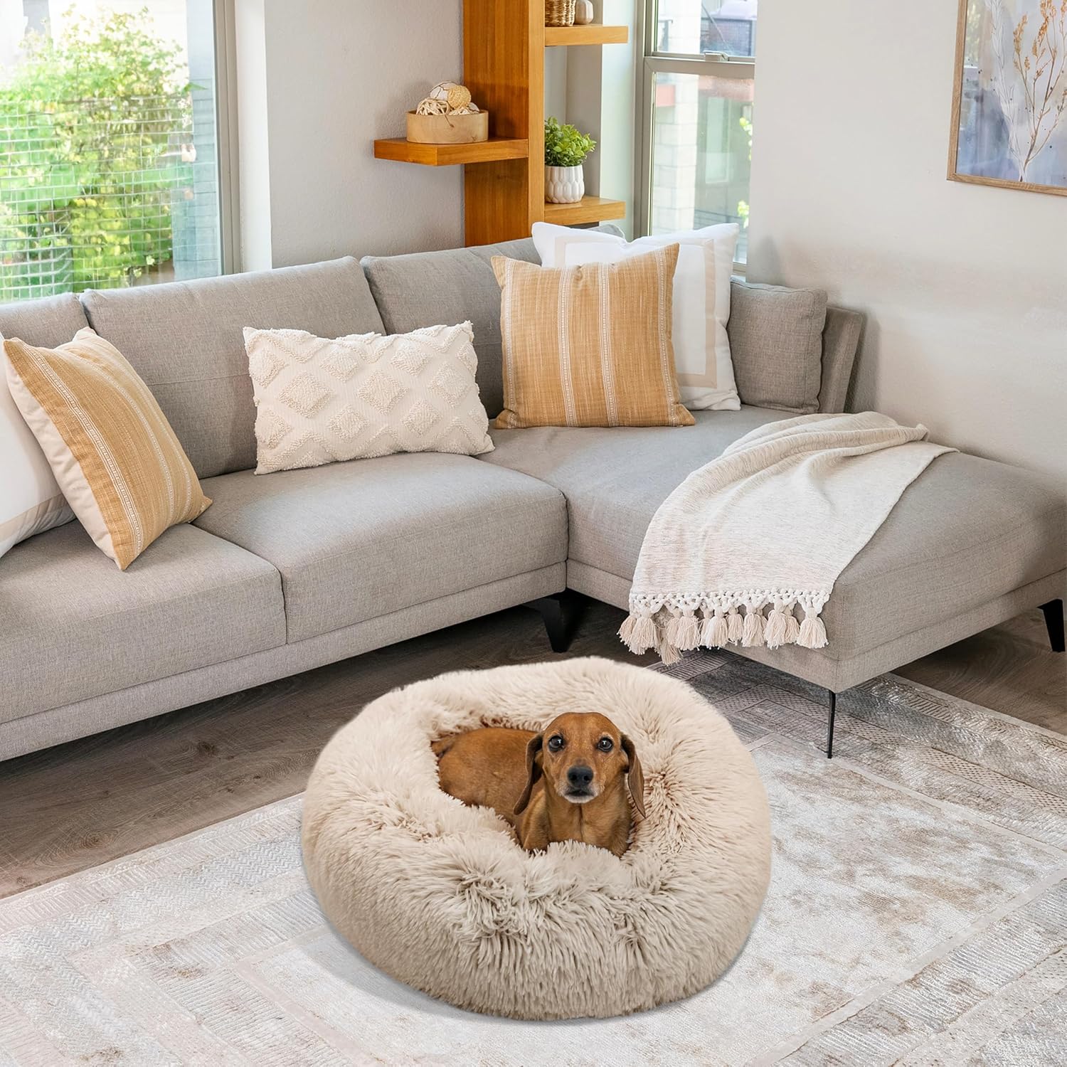 Best Friends by Sheri The Original Calming Donut Dog Bed for Small Dogs up to 25 lbs, Shag Faux Fur, Taupe, 23" x 23" - Image 7