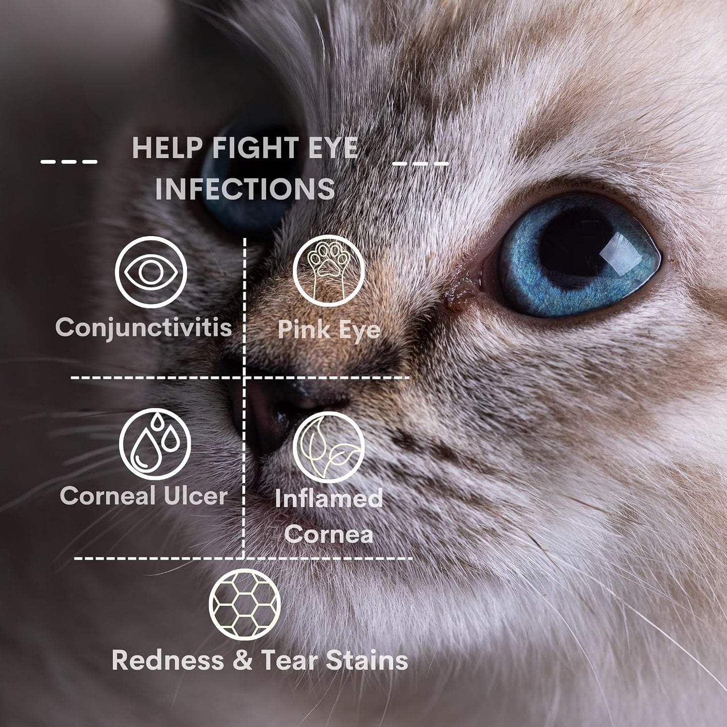 Back label view of TerraPet pet eye care cream with usage instructions