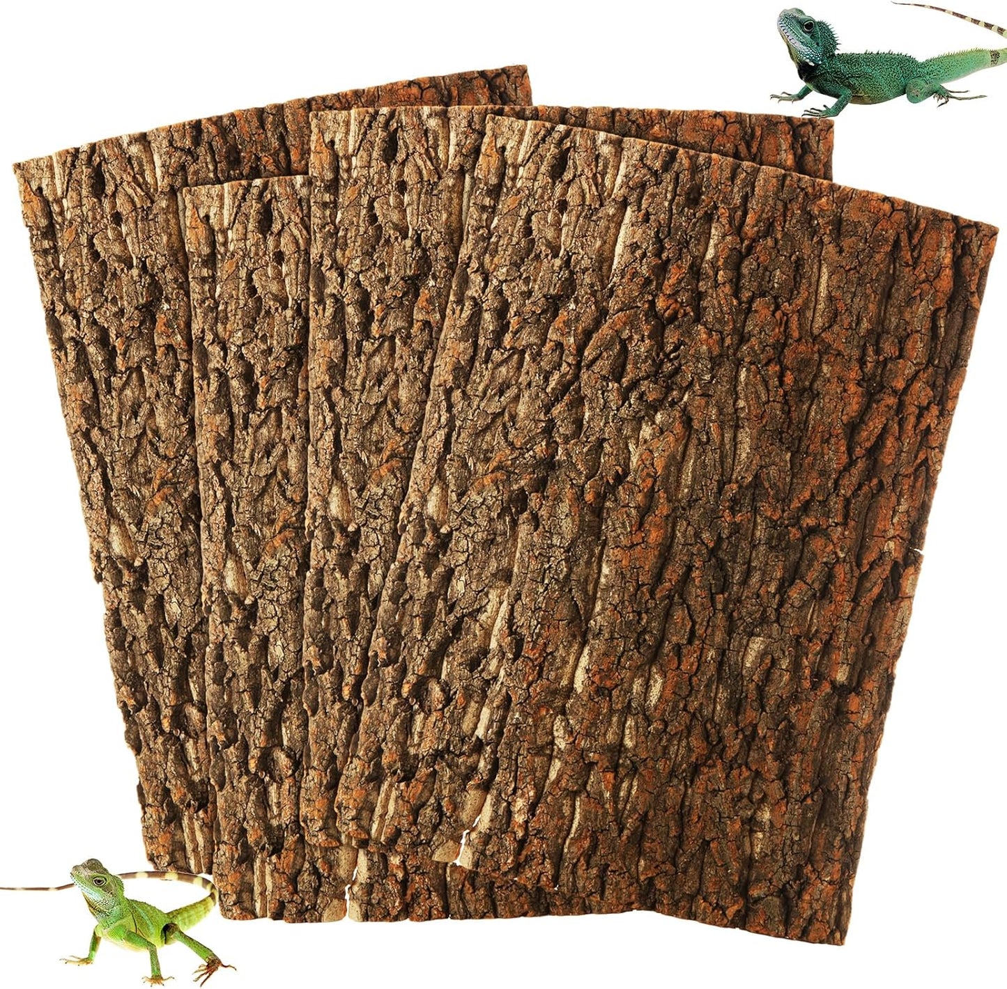 STARVAST cork terrarium background front view showing natural bark texture