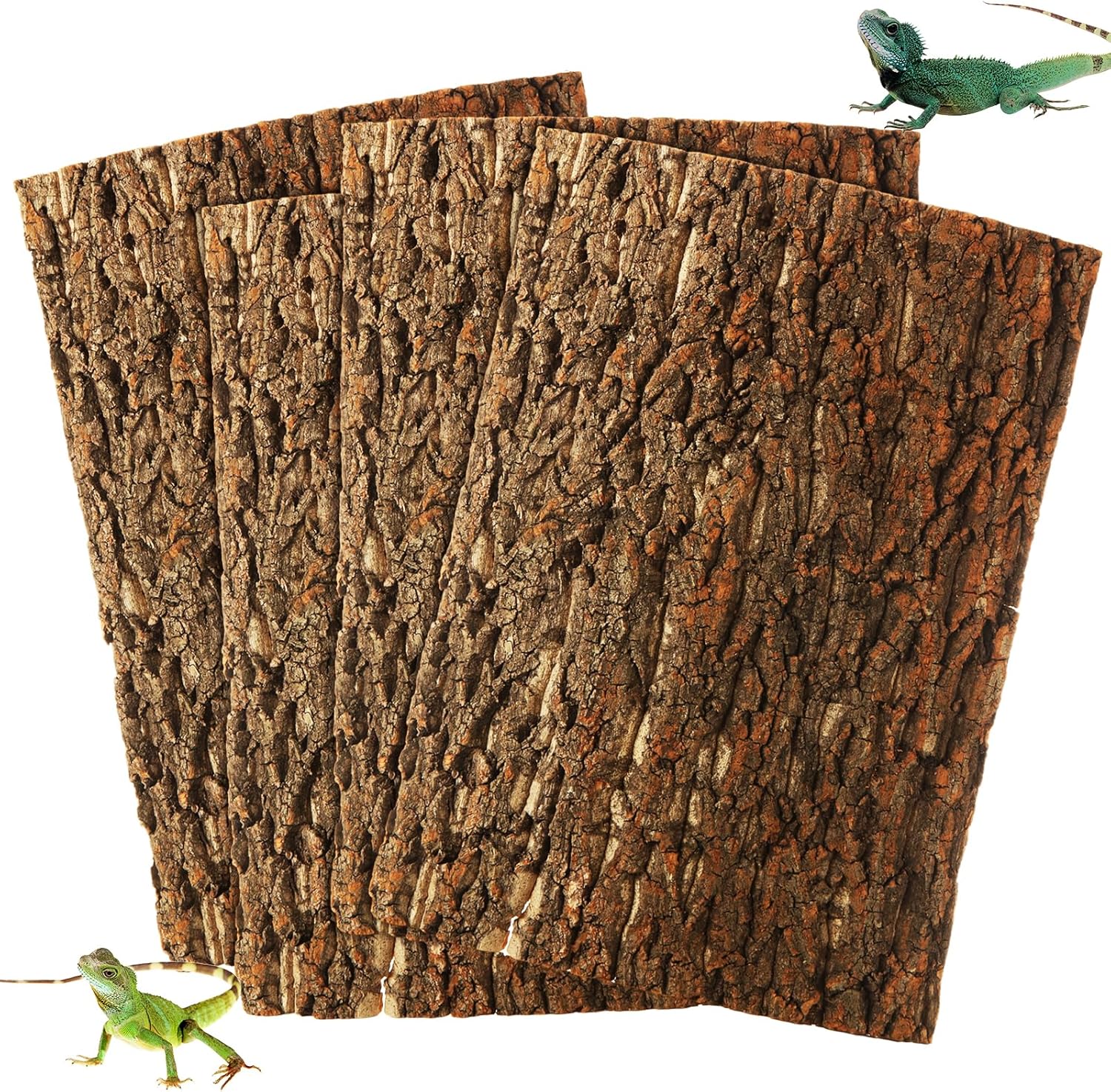 STARVAST cork terrarium background front view showing natural bark texture