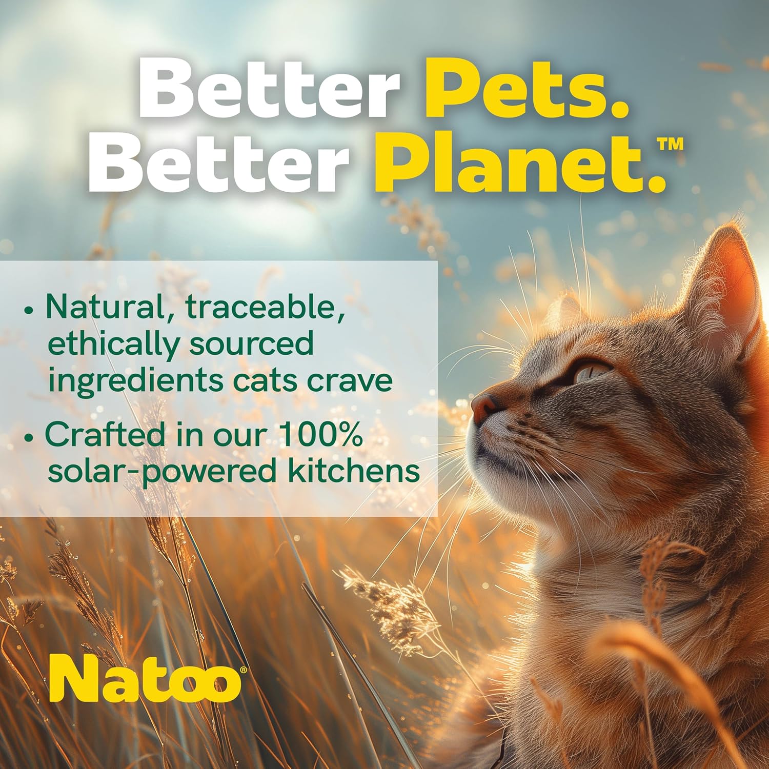 Natoo cat food topper packaging back view with ingredients