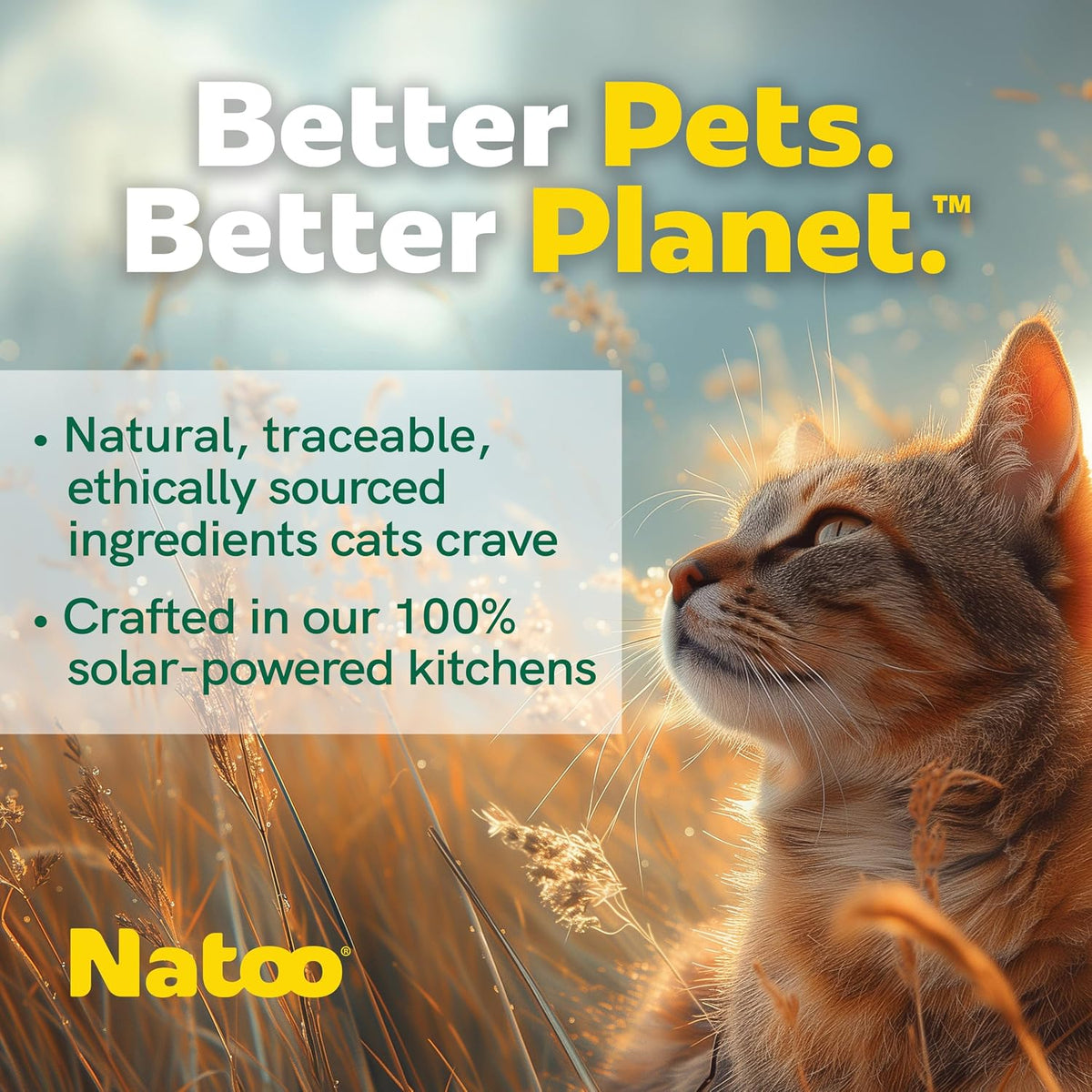 Natoo cat food topper packaging back view with ingredients