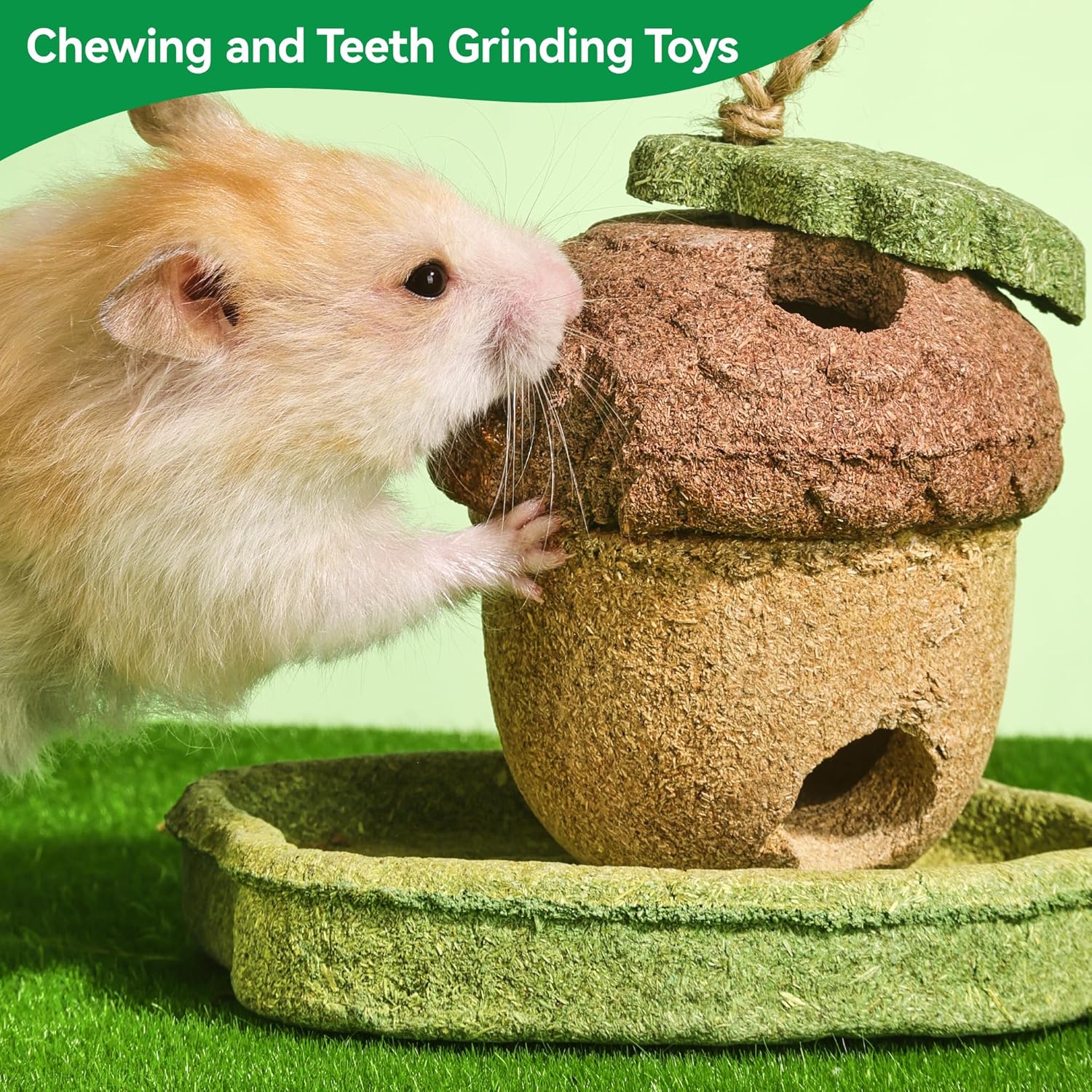 Edible plant based hamster chewing toys to prevent teeth overgrowth close up