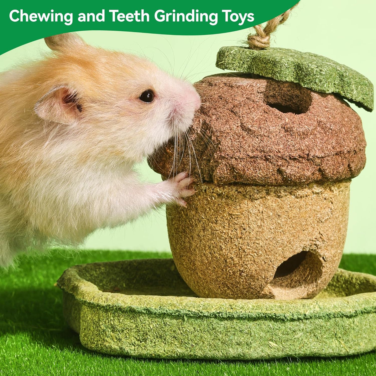 Edible plant based hamster chewing toys to prevent teeth overgrowth close up