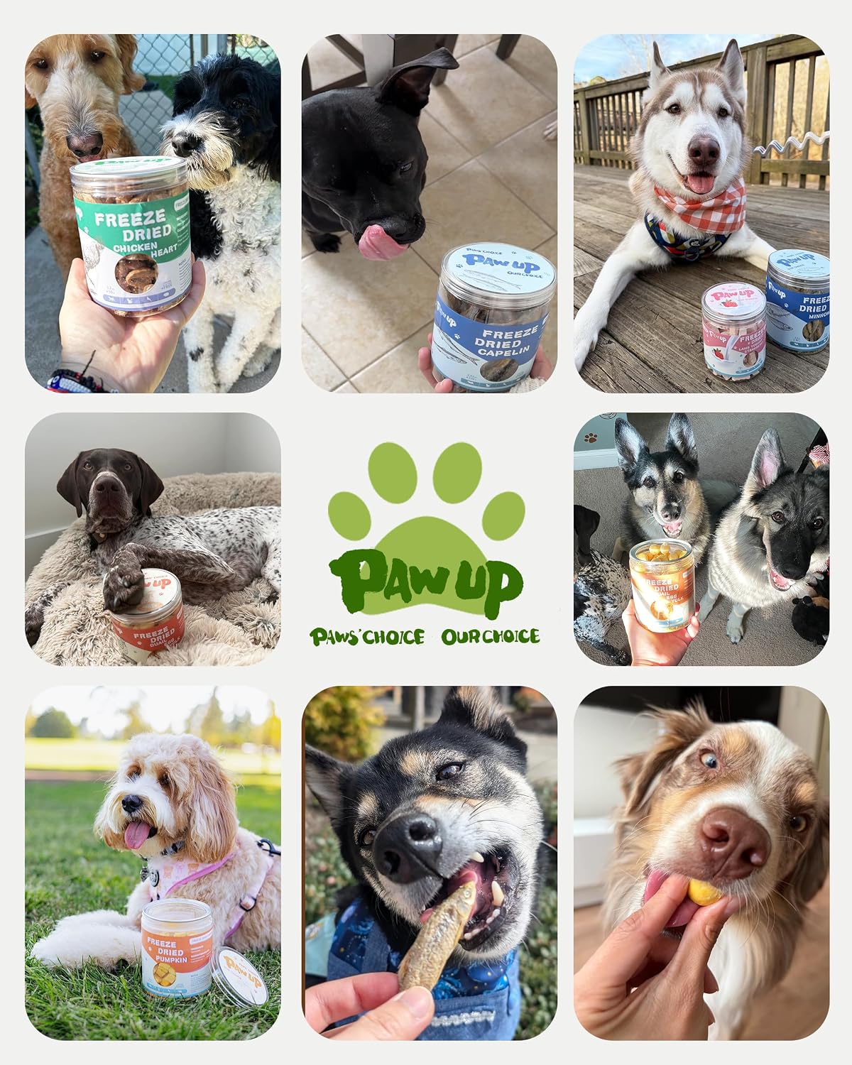 PAWUP authentic USA imported freeze dried chicken treats for picky eaters