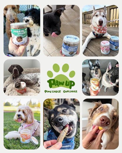 PAWUP authentic USA imported freeze dried chicken treats for picky eaters