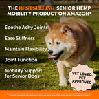 Glucosamine and chondroitin soft chews for dog joint stiffness relief