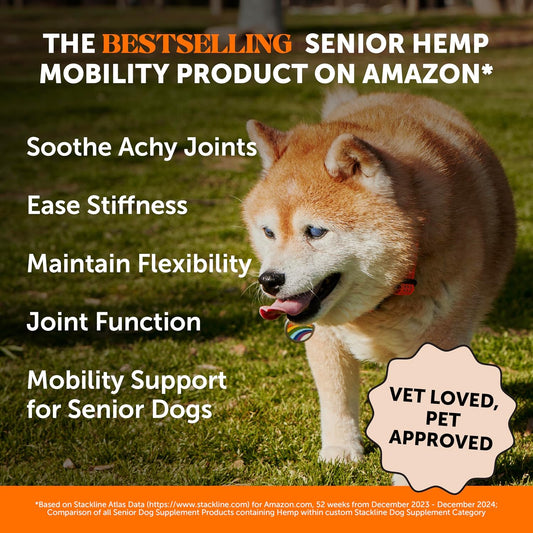 Glucosamine and chondroitin soft chews for dog joint stiffness relief