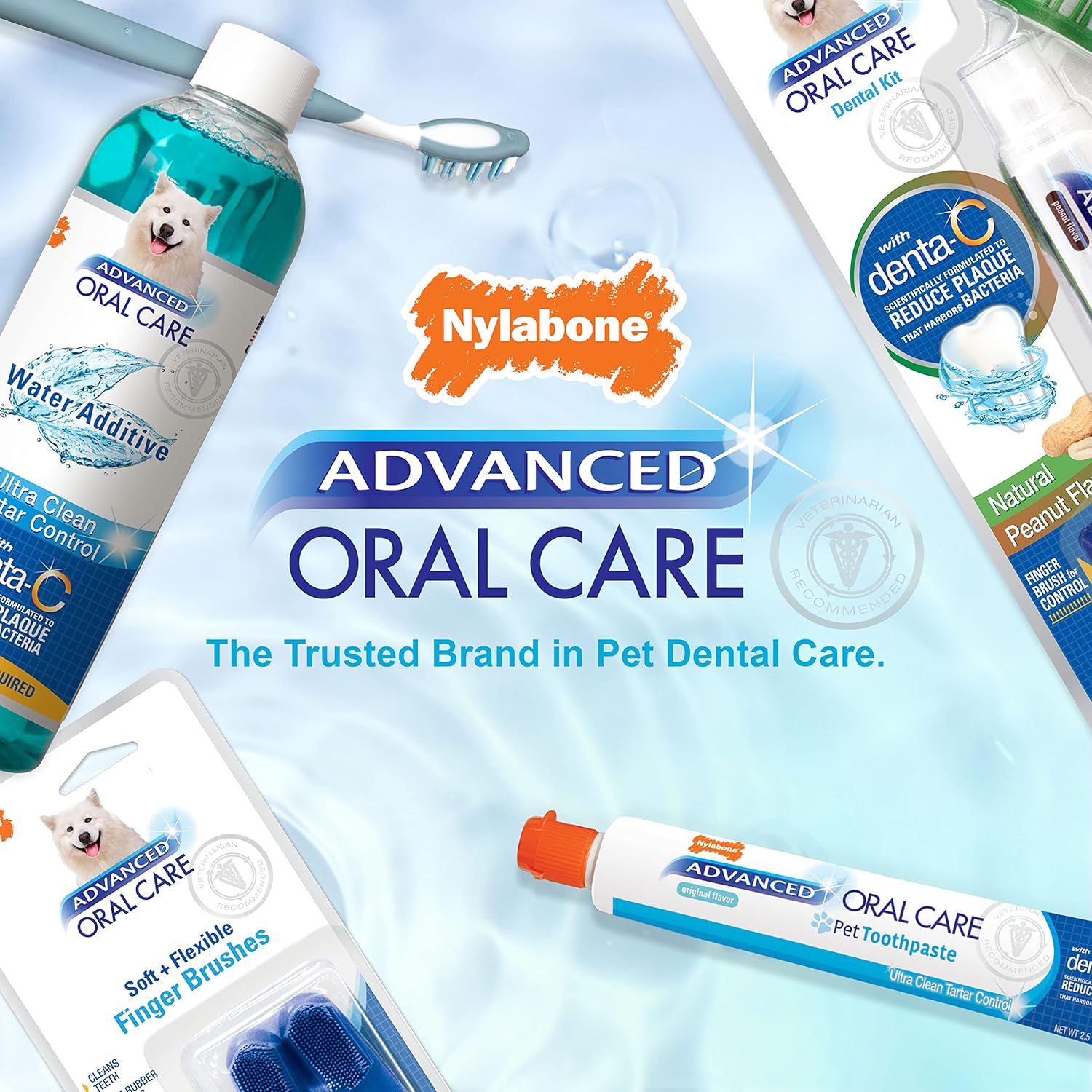 Back label of Nylabone Advanced Oral Care Finger Brush with instructions and safety information.
