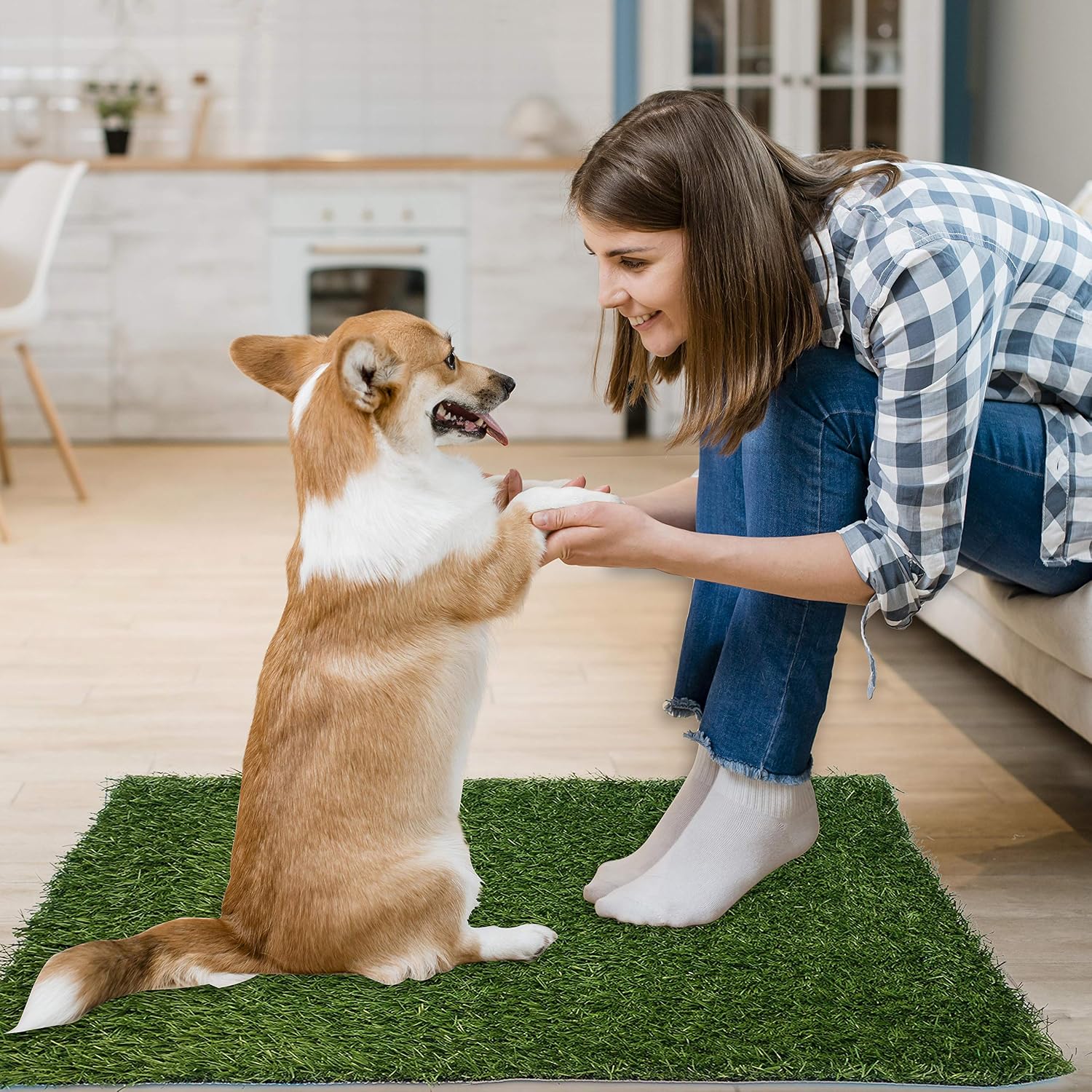 Small dog standing on Pick For Life indoor potty grass