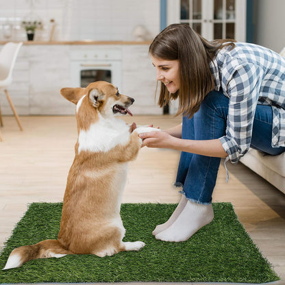Small dog standing on Pick For Life indoor potty grass