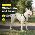 PetSafe medium dog harness showing front D-ring