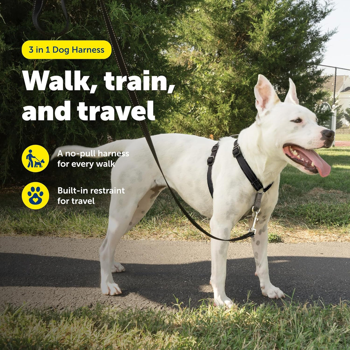PetSafe medium dog harness showing front D-ring