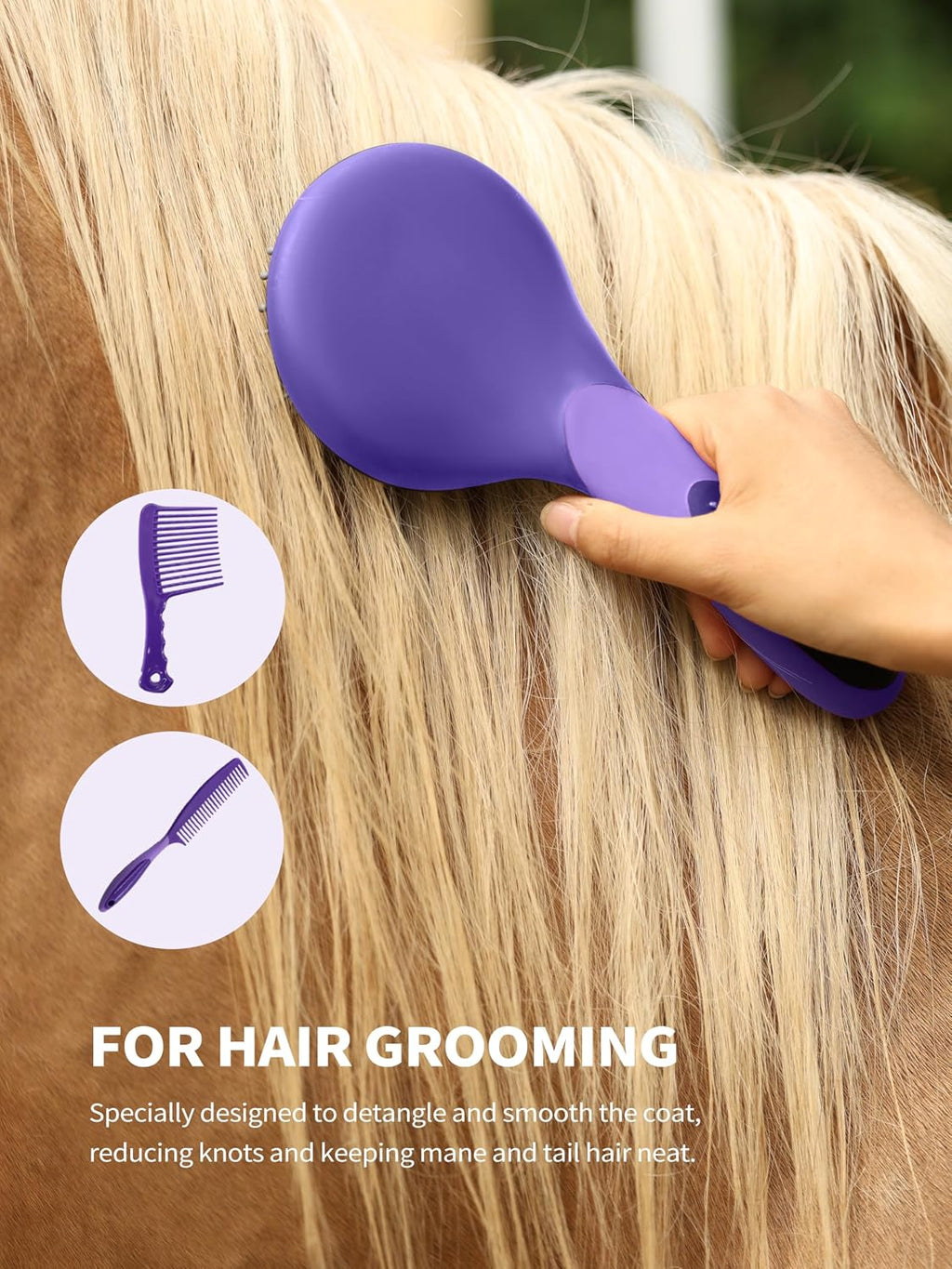 Essential equine hoof care tools included in the 9-piece kit