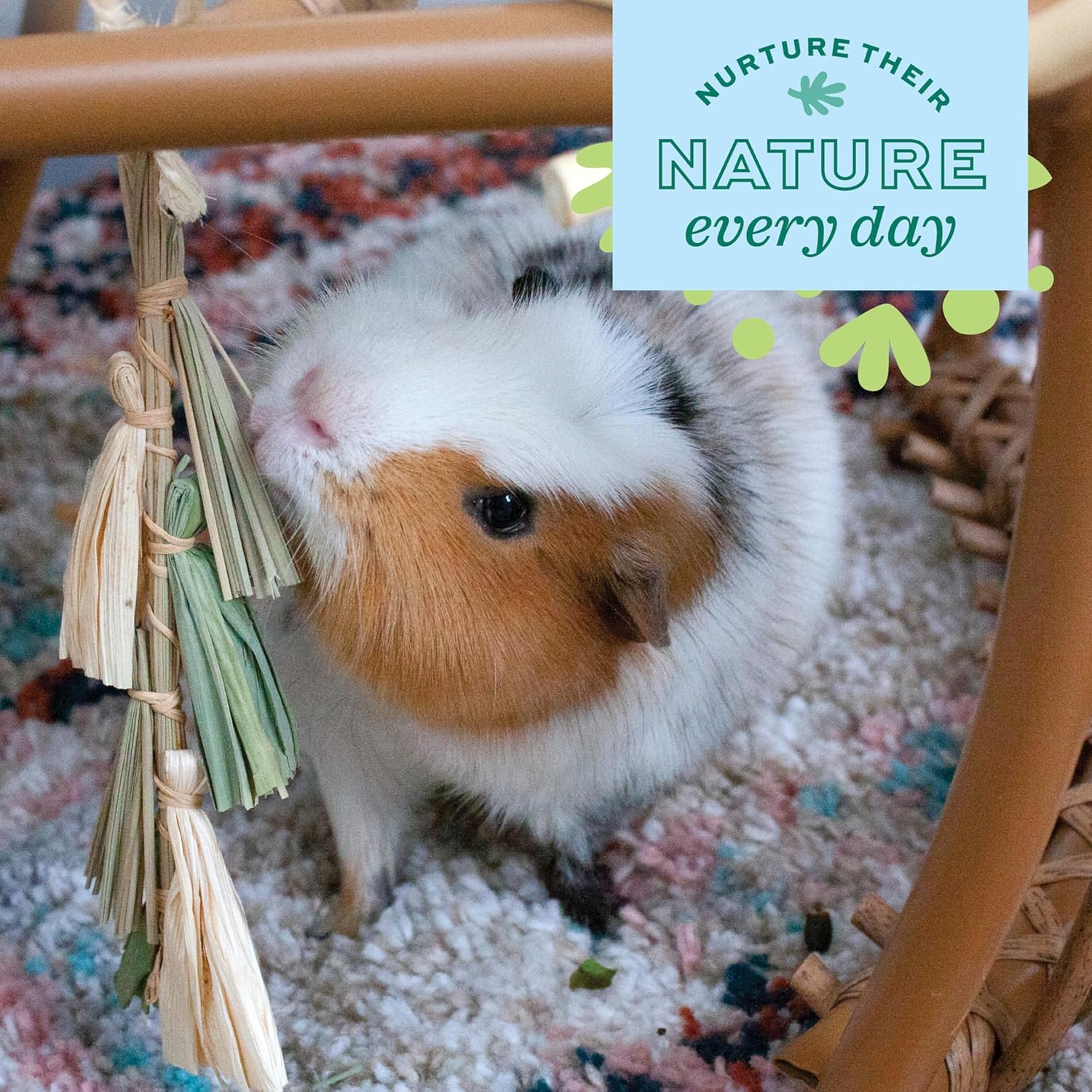 Authentic Oxbow Enriched Life dangling chew toys for chinchilla habitat vertical stimulation.