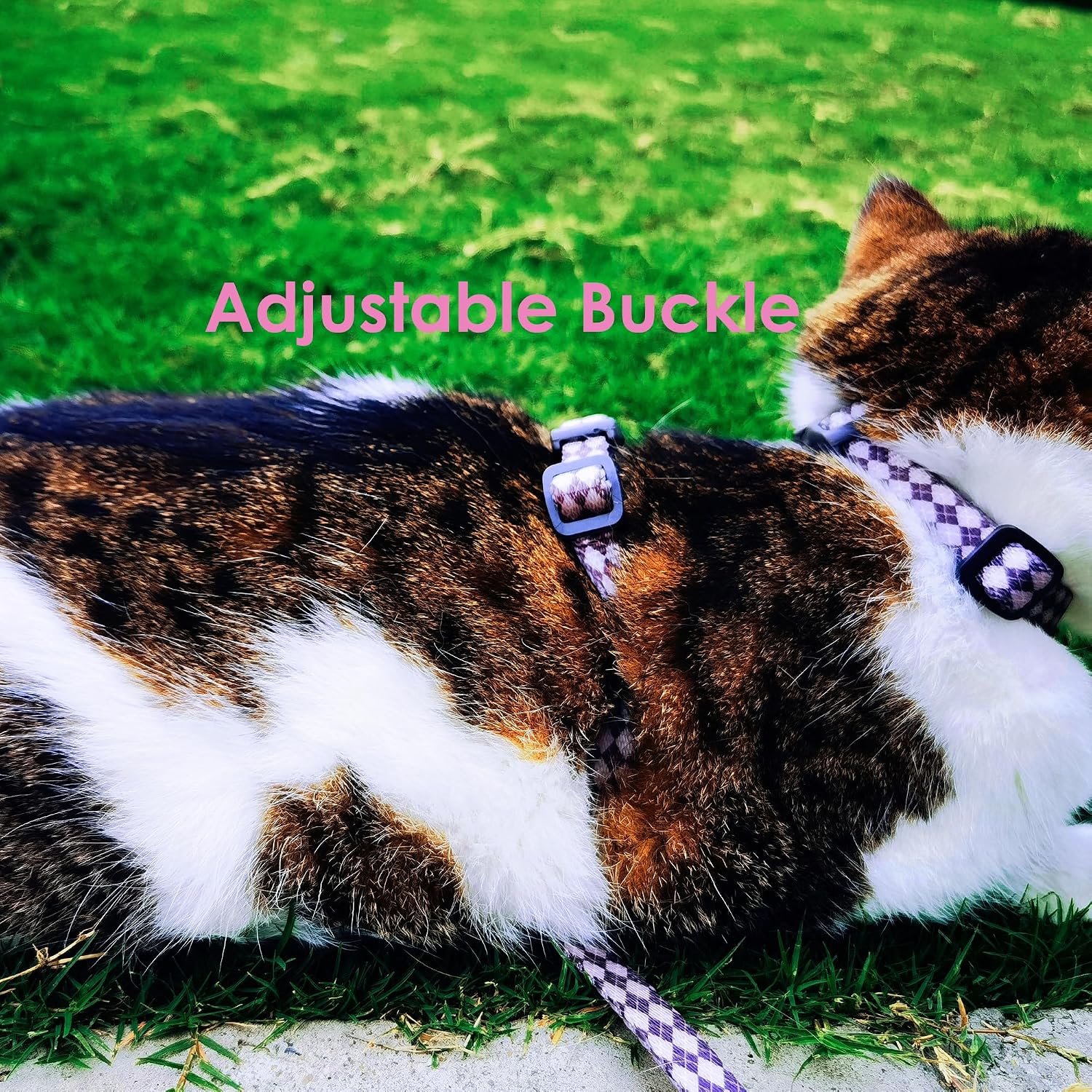 Comfortable lightweight outdoor cat travel gear