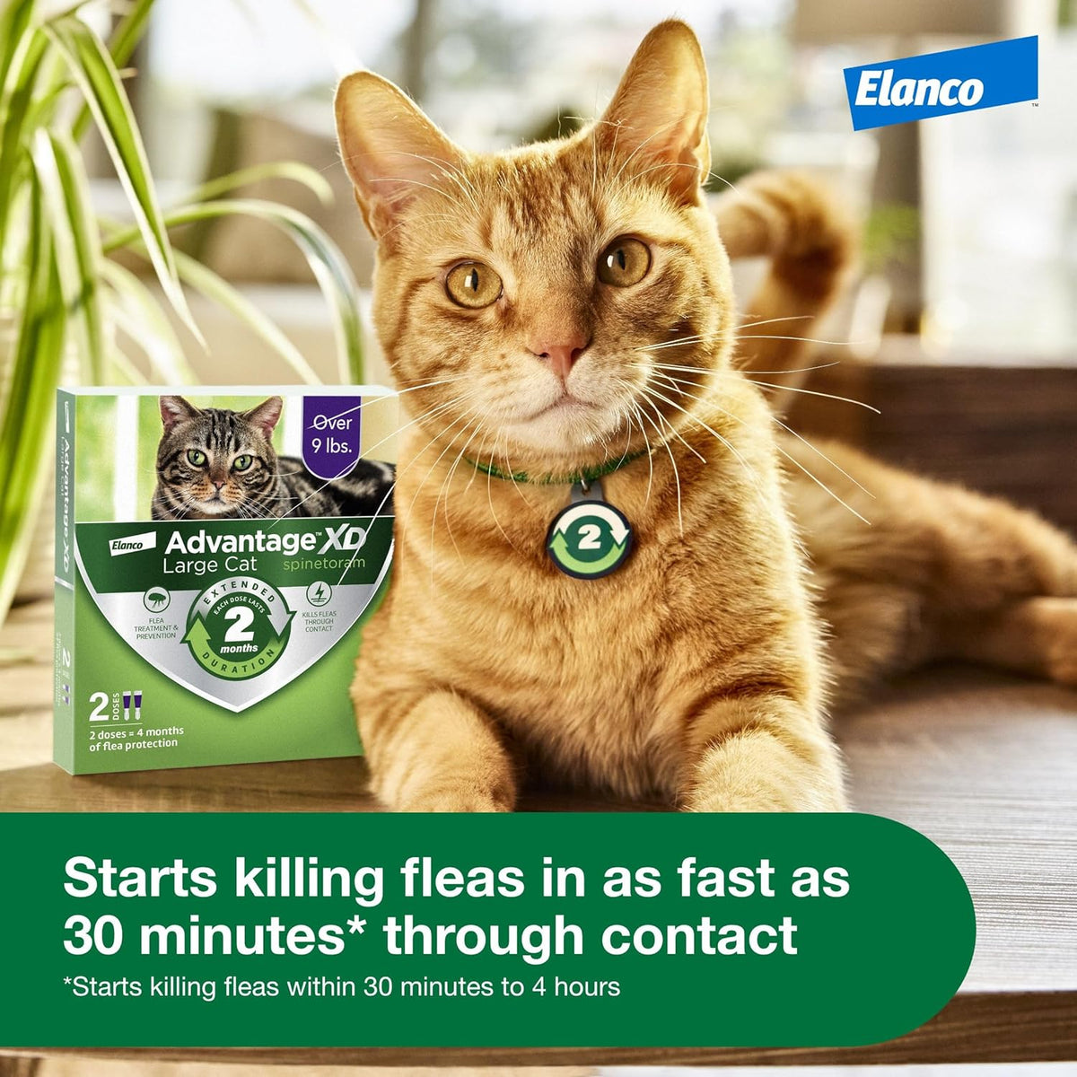 Fragrance free waterproof flea prevention for cats product display
