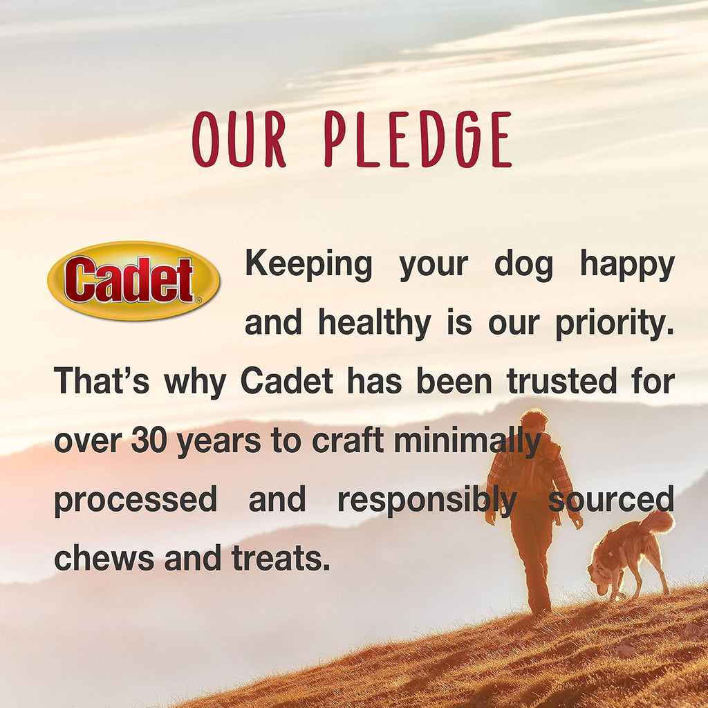Five inch dog chews for plaque and tartar reduction packaging