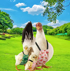 Magnoloran washable chicken clothes displaying decorative bow tie
