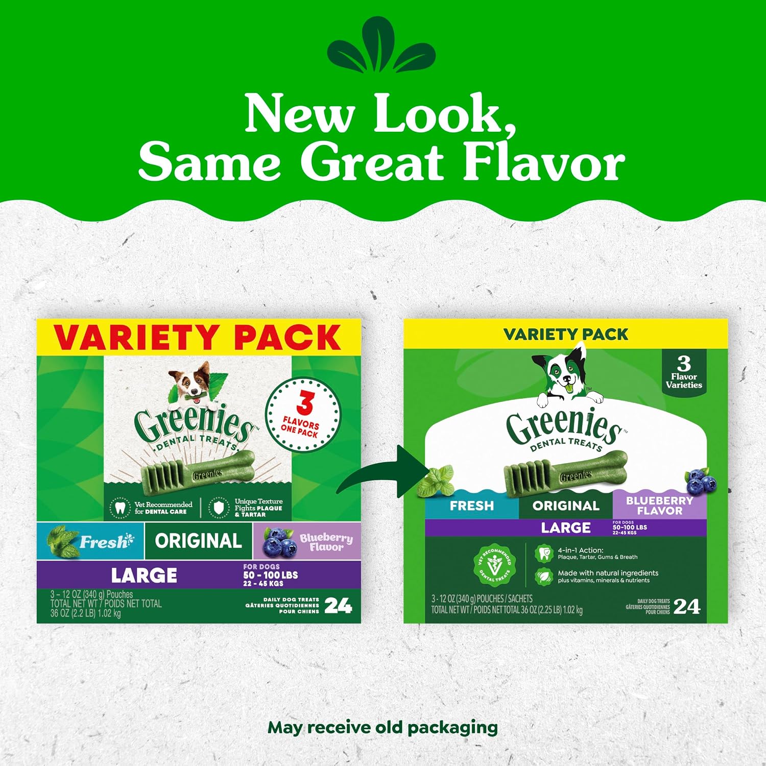 Greenies large breed canine dental chews in Original Fresh and Blueberry flavors