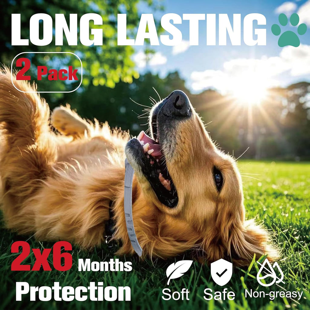 Advanllent dog collar showing adjustable strap design