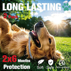 Advanllent dog collar showing adjustable strap design